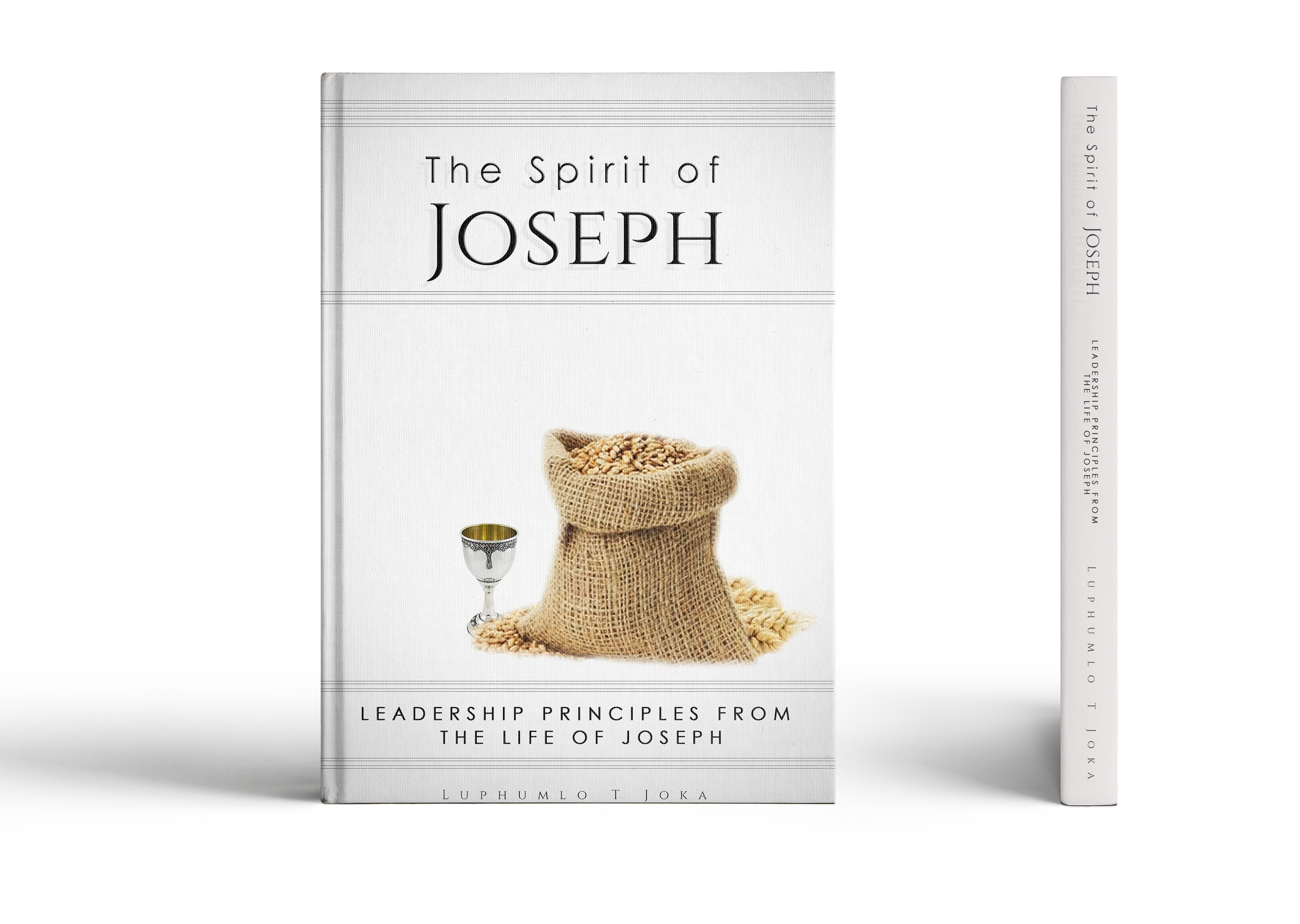 The Spirit of Joseph - Global Leadership Consultants The Spirit of Joseph - Global Leadership Consultants